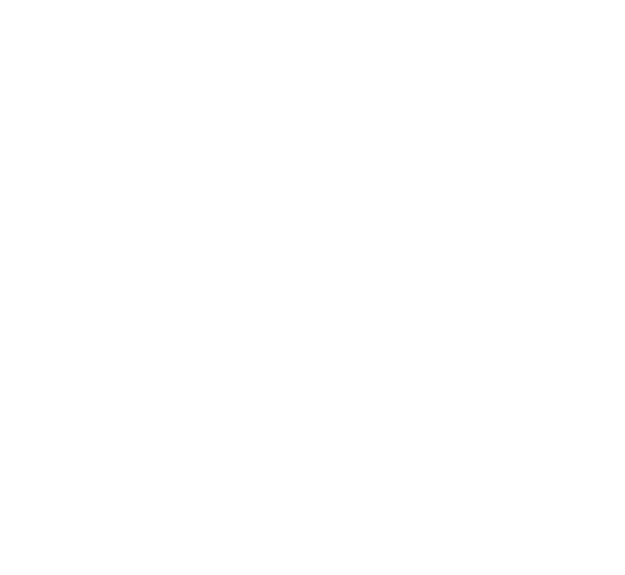 Pelican Experience